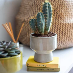 Chamfered Indoor Plant Pot - 13cm -Garden Tool Store 14197408 4575024191304589