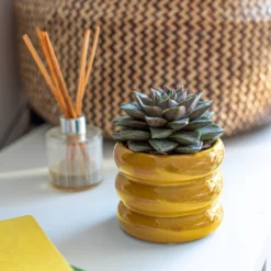 Ribbed Indoor Plant Pot - 11cm 14 Ribbed Indoor Plant Pot - 11cm -Garden Tool Store 14197409 1165024191339590