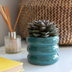 Ribbed Indoor Plant Pot - 11cm 11 Ribbed Indoor Plant Pot - 11cm -Garden Tool Store 14197409 1445024191285971