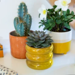 Ribbed Indoor Plant Pot - 11cm 17 Ribbed Indoor Plant Pot - 11cm -Garden Tool Store 14197409 5925024191500561