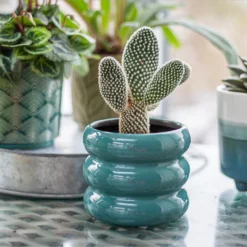 Ribbed Indoor Plant Pot - 11cm 15 Ribbed Indoor Plant Pot - 11cm -Garden Tool Store 14197409 6435024191381575