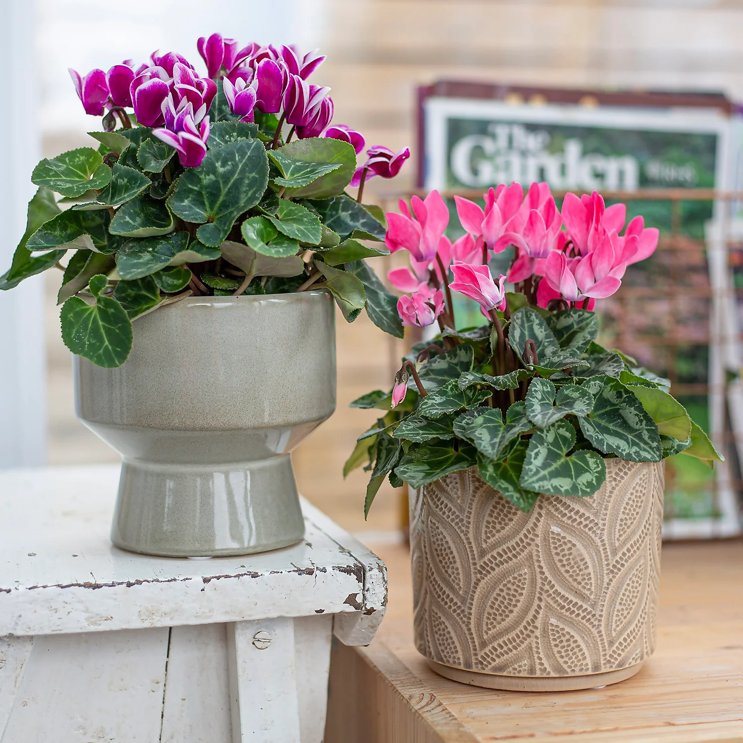 Crackle Leaf Indoor Plant Pot - 12cm 11 Crackle Leaf Indoor Plant Pot - 12cm - Image 9