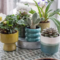 Crackle Leaf Indoor Plant Pot - 12cm 21 Crackle Leaf Indoor Plant Pot - 12cm -Garden Tool Store 14197410 1395024191595766