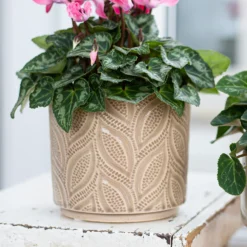Crackle Leaf Indoor Plant Pot - 12cm 17 Crackle Leaf Indoor Plant Pot - 12cm -Garden Tool Store 14197410 2105024191396266