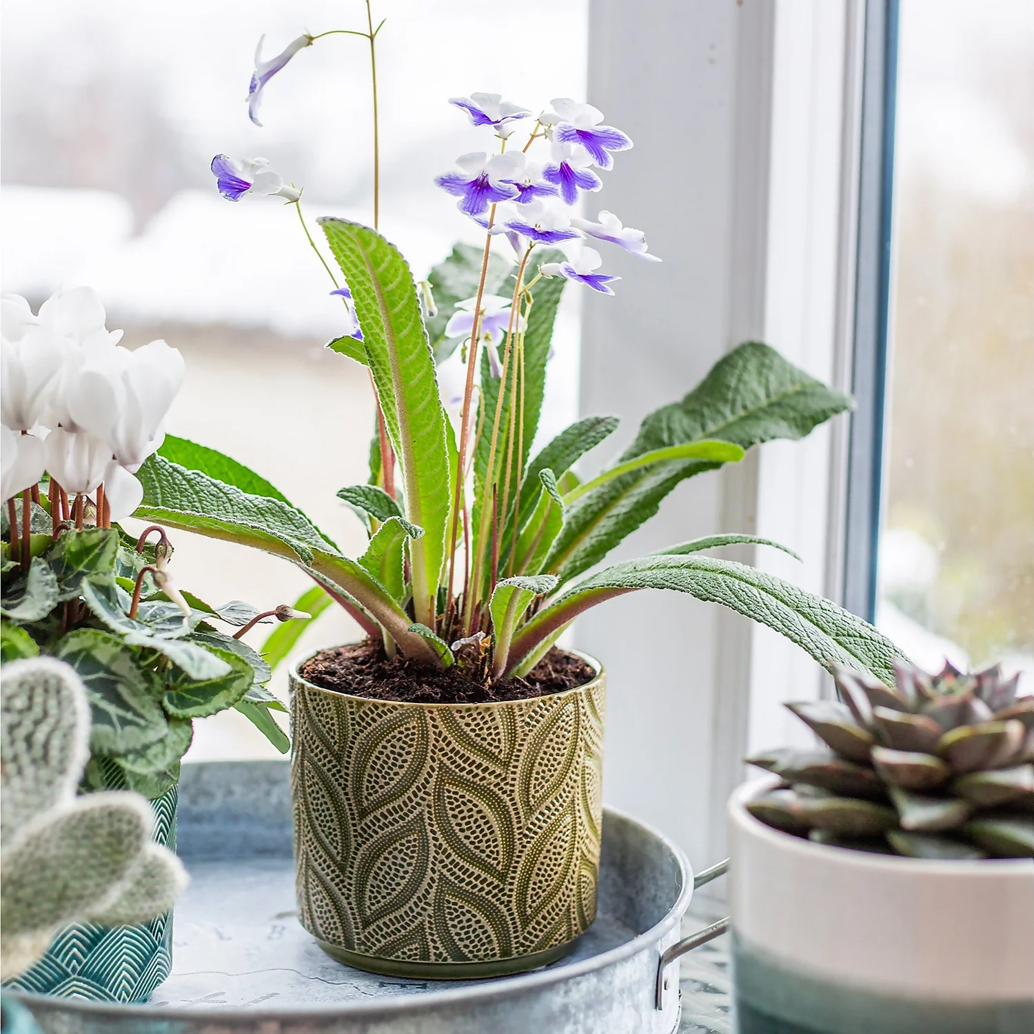 Crackle Leaf Indoor Plant Pot - 12cm 10 Crackle Leaf Indoor Plant Pot - 12cm - Image 8