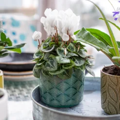 Art Deco Indoor Plant Pot - 12cm -Garden Tool Store 14197411 2035024190791106