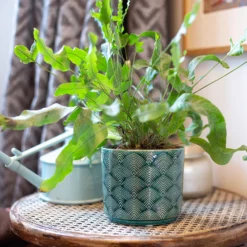 Art Deco Indoor Plant Pot - 12cm -Garden Tool Store 14197411 8455024190966417